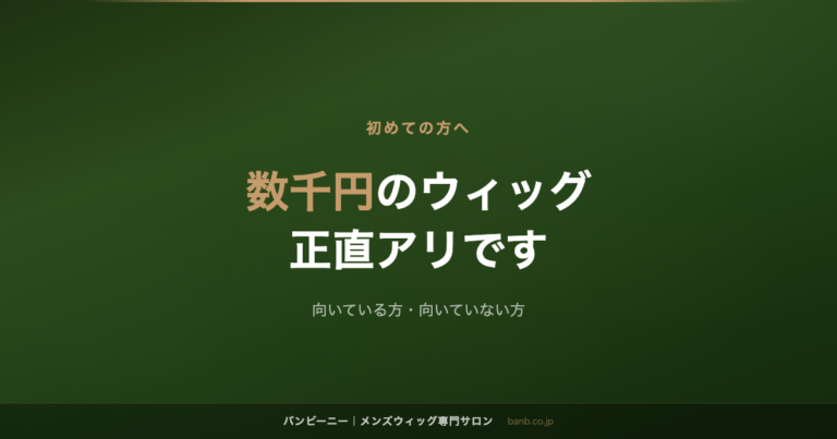 数千円のウィッグ 正直アリです